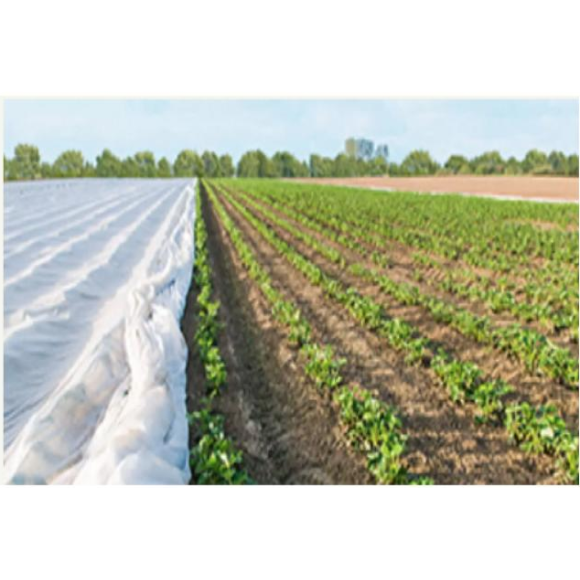 Cho màng nông nghiệp